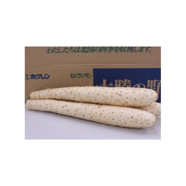 ■ 容量　ながいも6本（2Lサイズ、約5kg）■ 配送について　9月〜11月お申込みの場合、寄附確認後60営業日以内を目安に発送予定　　【発送温度帯】　5月〜9月：冷蔵　10月〜4月：常温　タイプ：【常温】【冷蔵】