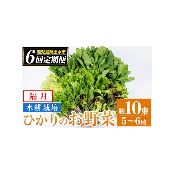 ■ 容量　新鮮葉物野菜 約10束　ほうれん草、水菜、チンゲン菜、小松菜、リーフレタス、ルッコラ、山東白菜、ミックスリーフ等から5〜6種類10束程をお送りいたします。　上記を計6回隔月にお届け■ 配送について　【定期】入金確認後、翌月から隔月...