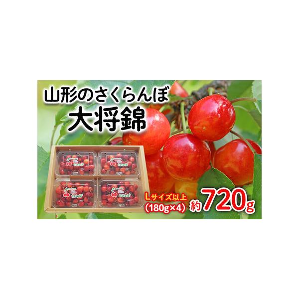 ■ 容量　【令和8年産】　さくらんぼ 大将錦 Lサイズ以上　720g(180g×4パック)■ 配送について　【申込期日】2026年06月20日まで　【発送期間】2026年06月15日頃〜2026年07月15日頃　※状況により配送時期が前後す...