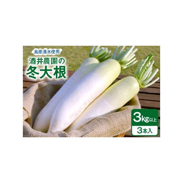 ■ 容量　■内容量　冬大根3kg以上(3本入)　　■原材料名　冬大根（長崎県島原産）　　■賞味期限　乾燥を避け、なるべくお早めにお召し上がりください。　　■保存方法　乾燥を防ぐため、湿った新聞紙等に包んで冷蔵庫に保管■ 配送について　202...