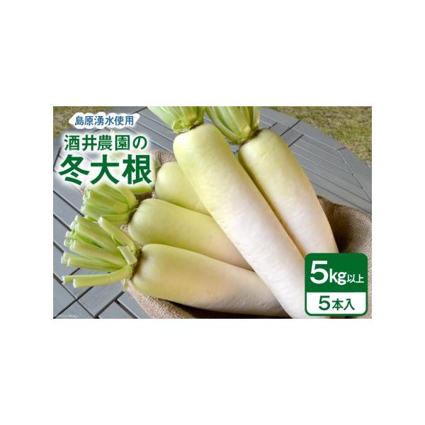 ■ 容量　■内容量　冬大根5kg以上(5本入)　　■原材料名　冬大根（長崎県島原産）　　■賞味期限　乾燥を避け、なるべくお早めにお召し上がりください。　　■保存方法　乾燥を防ぐため、湿った新聞紙等に包んで冷蔵庫に保管■ 配送について　202...
