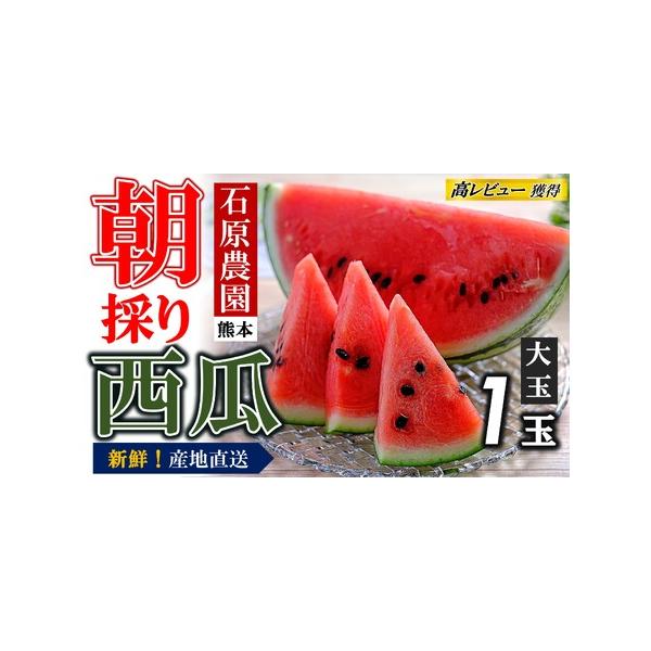 ■ 容量　大玉1玉■ 配送について　※2026年5月頃より順次発送予定　※青果物のため、天候や生育状況等により発送時期が前後する場合がございます。　※こちらのお礼の品は北海道・沖縄県・離島にはお届けできません。ご了承ください。　タイプ：【常温】