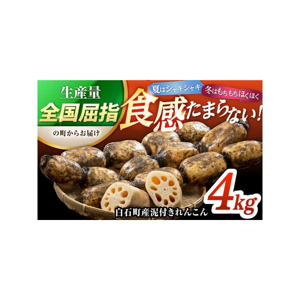 ■ 容量　4kg　　【賞味期限】　生鮮食品のためなるべくお早めにお召し上がりください。　　                         ※濡れ新聞に包み、冷蔵庫での保存をおすすめいたします。                       ...