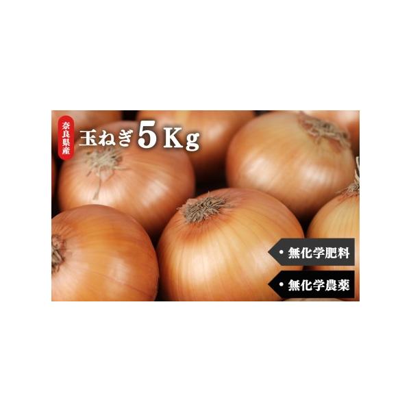 ■ 容量　生命の農法（無化学農薬・無化学肥料栽培）玉ねぎ　５ｋｇ　　【産地】奈良県　　【賞味期限】生ものですので、できる限りお早めにお召し上がり下さい。　　【保存方法】冷暗所で保存してください。　　【提供元】慈光会自然食品販売所　五條市五條...