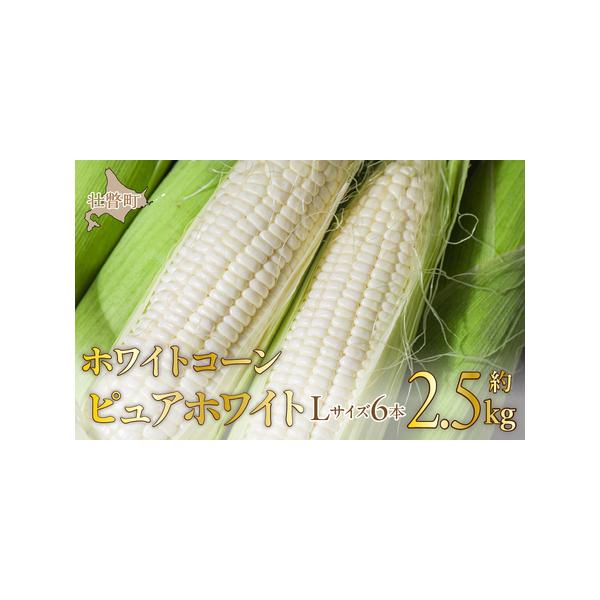 ■ 容量　ホワイトコーン「ピュアホワイト」Lサイズ以上6本　約2.5kg■ 配送について　2026年8月中旬〜9月上旬頃まで　発送可能時期より順次発送予定　※沖縄、離島への配送はできかねますので、あらかじめご了承願います。　上記のエリアから...