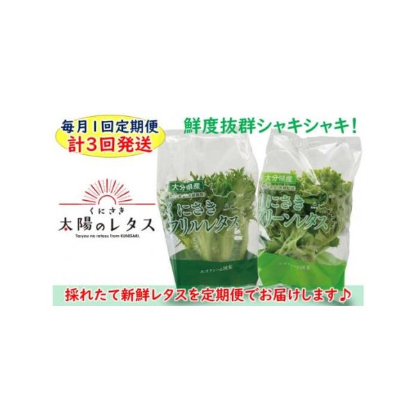 ■ 容量　くにさき太陽のレタス定期便/計3回発送　グリーンレタス×6袋、フリルレタス×6袋（計12袋 / 1回分）×計3回　※1袋=夏季/80?100g、冬季/90?110g■ 配送について　寄附金納付確認後の翌月から毎月1回（計3回）、各...