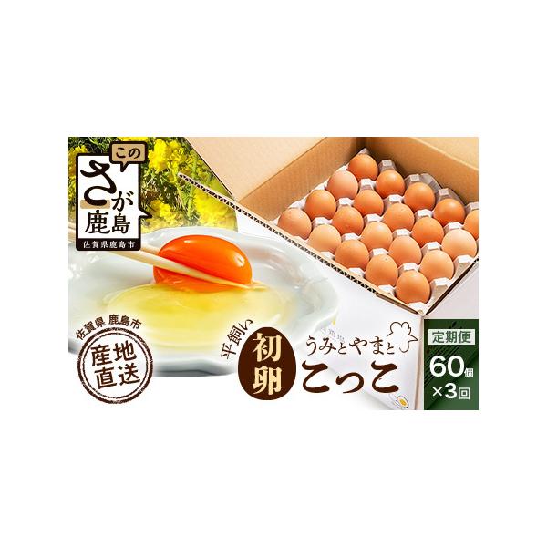ふるさと納税 たまご 鶏卵 【定期便】佐賀鹿島産 平飼い初卵「うみとやまとこっこ」 上田養鶏場 たまご60個×3回 卵タマゴ  玉子焼きD-117 佐賀県鹿島市