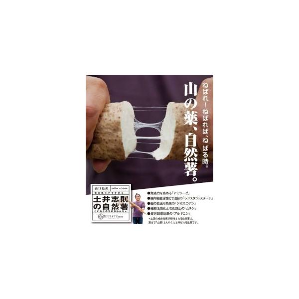 ■ 容量　1kg以上（4〜5本）×12ヵ月　合計12kg以上■ 配送について　入金確認月の翌月上旬から中旬に毎月一回お届けします。　タイプ：【冷蔵】【定期】