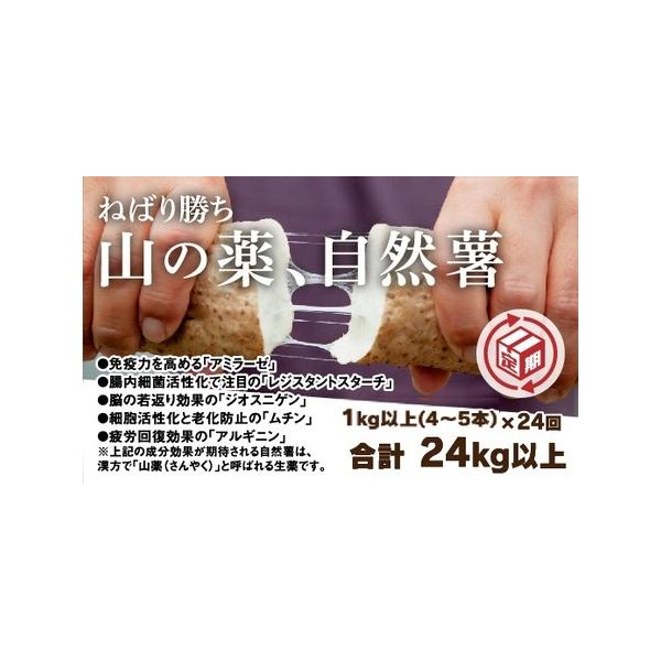 ■ 容量　2kg以上（8〜10本）×12カ月　　合計24kg以上■ 配送について　入金確認月の翌月第一週目と第三週目に毎月二回お届けします。　タイプ：【冷蔵】【定期】