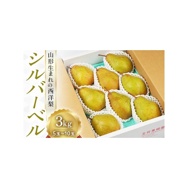 ■ 容量　シルバーベル3kg（5玉〜10玉）■ 配送について　2026年12月上旬頃〜2026年12月下旬頃　タイプ：【常温】