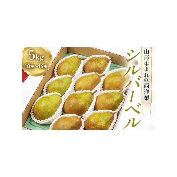 ■ 容量　シルバーベル5kg（10玉〜16玉）■ 配送について　2026年12月上旬頃〜2026年12月下旬頃　タイプ：【常温】