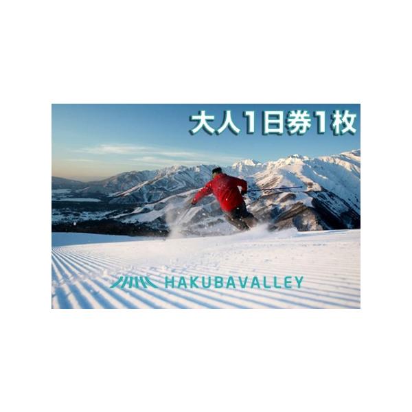 ■ 容量　■お礼品の内容について 　・2025-2026 Hakuba Valley 全山共通リフト券大人1日券[1枚] 　サービス提供地:大町市・白馬村・小谷村エリア内の10スキー場　　白馬村・小谷村・大町市の10スキー場共通のリフト1日...
