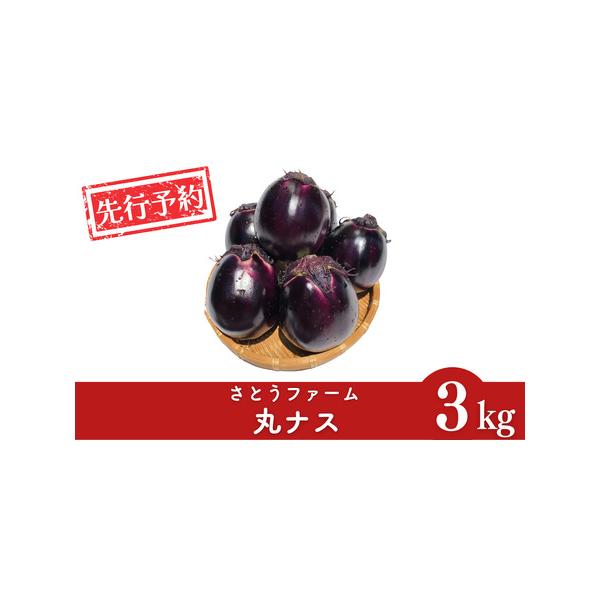 ■ 容量　約3kg(8~10個)　※生育状況により、個数が前後する場合がございます。■ 配送について　5月下旬〜6月上旬頃　※天候や生育状況により、発送開始・終了時期が前後する場合がございます。　※お申込み順に発送いたしますので、配達日のご...