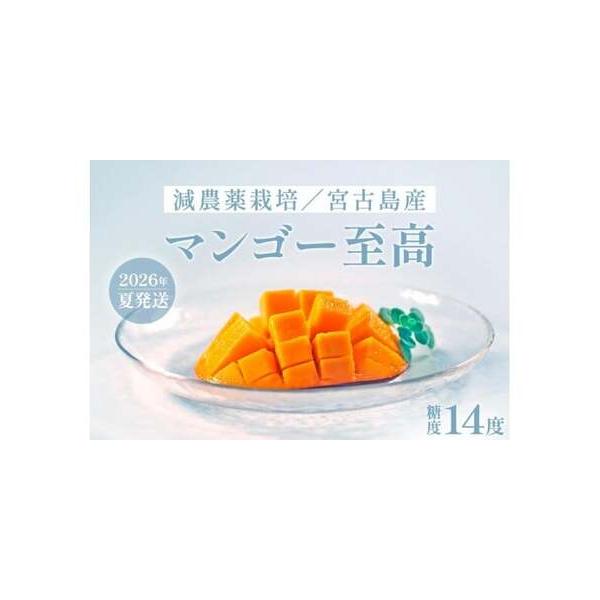 ■ 容量　マンゴー至高（しこう）【贈答用】　・優品　約1キロ（2〜3玉）　・糖度　14度以上　・減農薬栽培マンゴー■ 配送について　2026年6月頃中旬〜ご予約順に発送予定です。※天候によっては前後する場合があります。　タイプ：【常温】