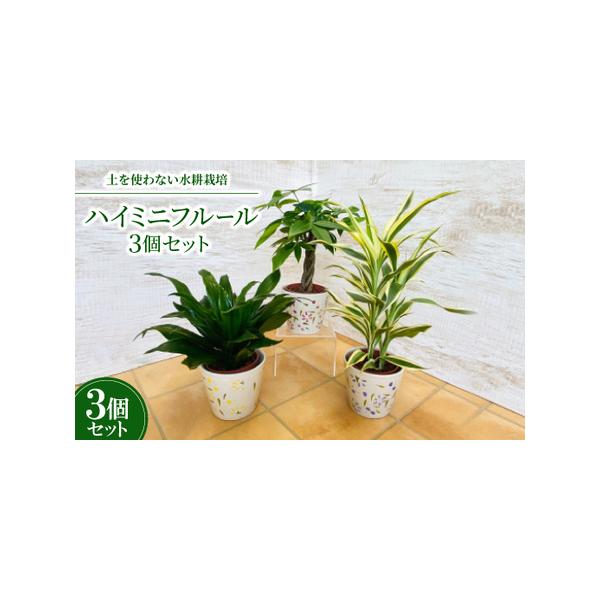 ■ 容量　※上記に記載■ 配送について　2026年1月より順次発送　タイプ：【常温】