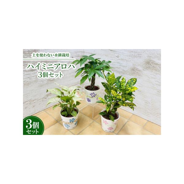 ■ 容量　※上記に記載■ 配送について　2026年1月より順次発送　タイプ：【常温】