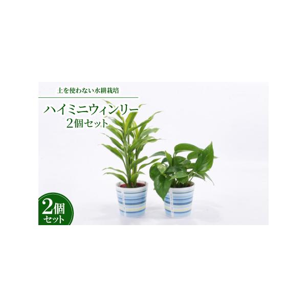 ■ 容量　※上記に記載■ 配送について　2026年1月より順次発送　タイプ：【常温】