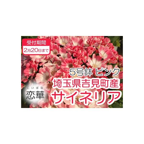 ■ 容量　１鉢■ 配送について　※発送時期：２月以降順次発送　※北海道、沖縄、離島にはお届けできません。　※受取人様のご都合でお受け取りいただけなかった場合の再送については『送料着払い』での対応となりますのでご了承ください。　タイプ：【常温】