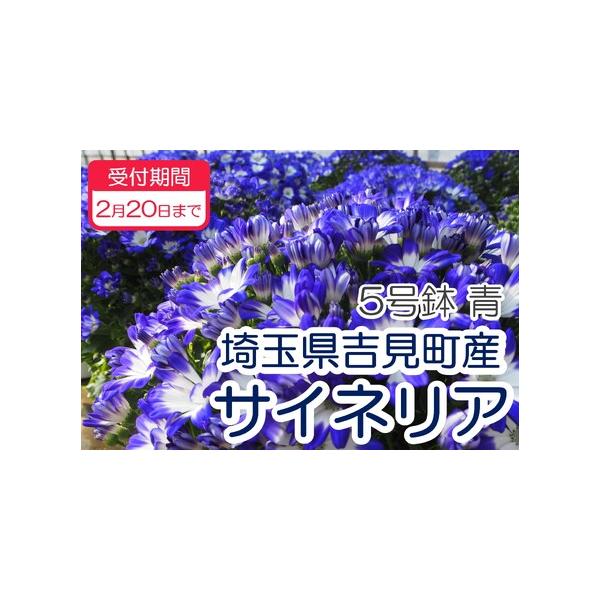 ■ 容量　１鉢■ 配送について　※発送時期：２月以降順次発送　※北海道、沖縄、離島にはお届けできません。　※受取人様のご都合でお受け取りいただけなかった場合の再送については『送料着払い』での対応となりますのでご了承ください。