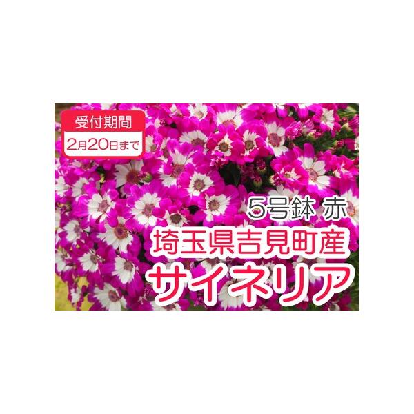 ■ 容量　１鉢■ 配送について　※発送時期：２月以降順次発送　※北海道、沖縄、離島にはお届けできません。　※受取人様のご都合でお受け取りいただけなかった場合の再送については『送料着払い』での対応となりますのでご了承ください。