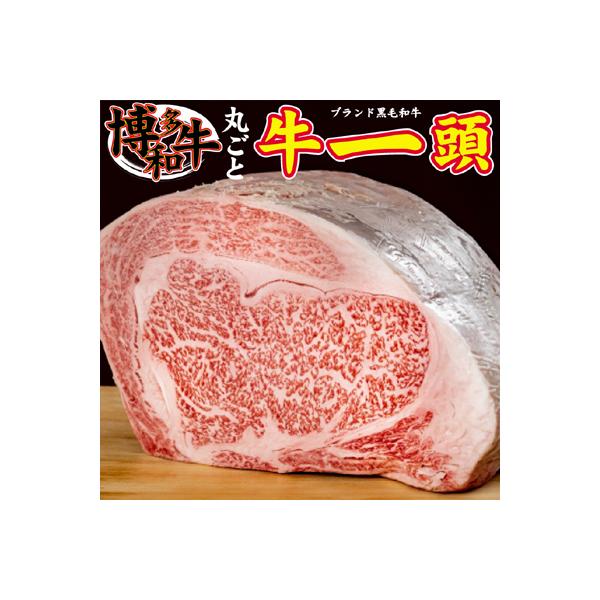 furunavi_753332