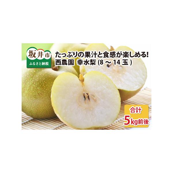 ■ 容量　■ 内容量等　幸水梨：5kg前後（8〜14個）　※サイズ・玉数のご指定は出来かねます。ご了承の上お申し込みください。　　■ 本品に含まれるアレルギー表示28品目　なし　　■ 消費期限　到着日より冷蔵で7日以内　　■ 備考　【保管方...
