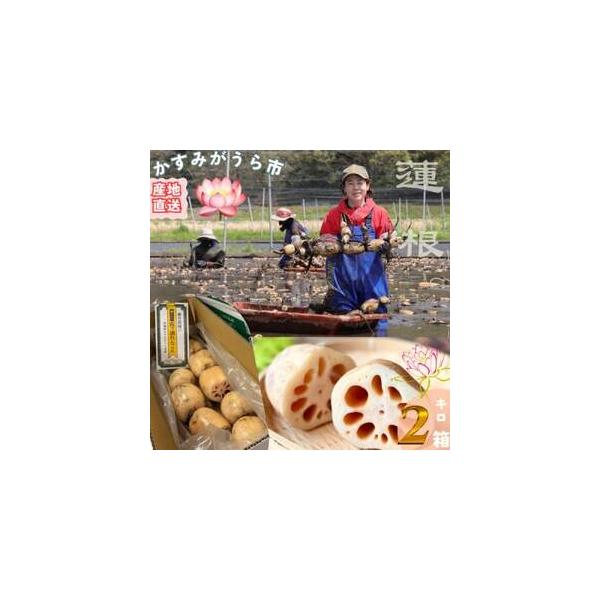 ■ 容量　※上記に記載■ 配送について　2025-09-08〜2026-03-31　タイプ：【冷蔵】