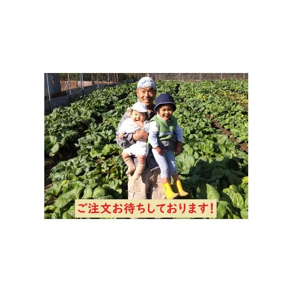 ■ 容量　2kg■ 配送について　決済から７日前後で発送　タイプ：【冷蔵】