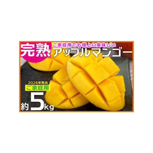 ■ 容量　ご家庭用アップルマンゴー約5kg（8〜12玉）　※冷蔵で送る為水分が飛び50g〜70ｇ差が出る事があります。　白箱入り　　※糖度13度以上■ 配送について　2026年6月下旬〜8月中旬頃発送　タイプ：【冷蔵】