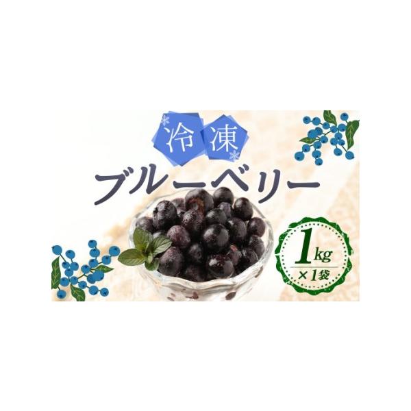 ■ 容量　冷凍ブルーベリー：約１ｋｇ（１ｋｇ×１袋）　賞味期限：冷凍で３６０日■ 配送について　寄附確認後、30営業日以内に発送予定　年末年始（12月・1月）は寄附確認後、60営業日以内に発送予定　※天候や発送状況により多少前後する場合がご...