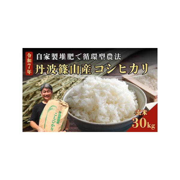 ふるさと納税 【令和7年産丹波篠山産】コシヒカリ 玄米 30kg