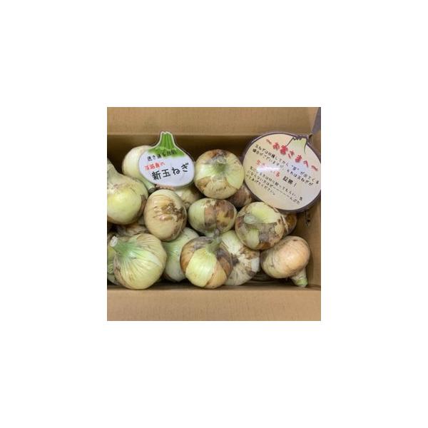 ■ 容量　新玉ねぎ６kg■ 配送について　２月下旬〜６月頃にかけてお申込み順に発送予定です。　※天候等により大幅に出荷が前後する事もございますのでご了承ください。　※長期不在、転居等でお受け取りいただけない場合、再送はいたしかねます。ご了承...