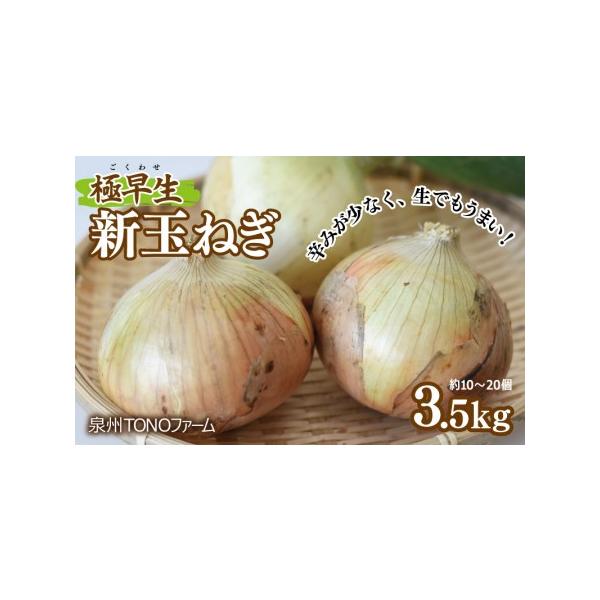 ■ 容量　新玉ねぎ 3.5kg　※画像はイメージです。■ 配送について　2026年2月から3月末までの期間に、ご寄附の受付順に発送予定　※品質保持のため、宅配ボックスへの配達や置き配などのご要望はお受けできません。　タイプ：【冷蔵】
