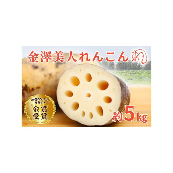 ■ 容量　金澤美人れんこん　約5kg　※サイズはお選びいただけません。　【賞味期限】　到着日より1週間　【保存方法】　冷蔵保存■ 配送について　寄附のご入金後、２週間以内を目途に発送いたします。　【受付期間】　2025年10月22日〜　タイ...
