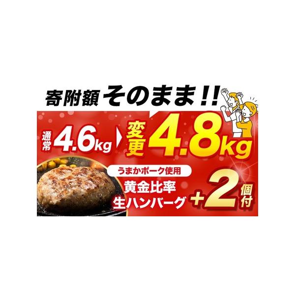 furunavi_786613_1_d_20260219183708