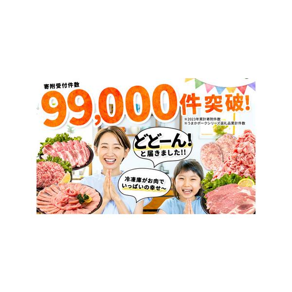 furunavi_786613_2_d_20260219183708