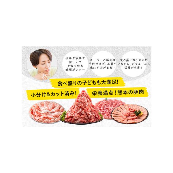 furunavi_786613_3_d_20260219183708