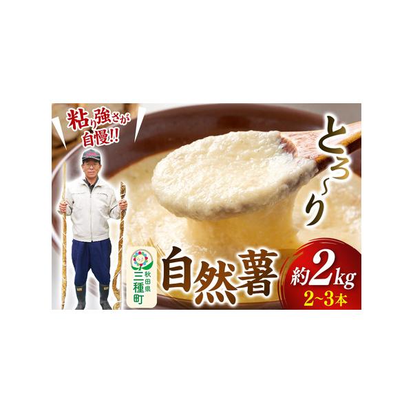 ■ 容量　■名称：自然薯　■内容量：約2kg　■原材料名：山芋　■保存方法：冷蔵庫等で、3〜5℃での保存を推奨　■賞味期限：発送日＋30日　■注意事項：　・こわれ物、生物につき、お取り扱いにはご注意ください。　 ・逆さま禁止　・天候や収穫状...