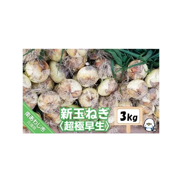 ■ 容量　新玉ねぎ　3kg■ 配送について　１月下旬〜３月下旬頃に発送いたします。　※長期不在、転居等でお受け取りいただけない場合、再送はいたしかねます。ご了承ください。　タイプ：【常温】