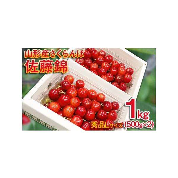■ 容量　【令和8年産】　さくらんぼ 佐藤錦 Lサイズ 1kg(500g×2パック）■ 配送について　【申込期日】2026年05月31日まで　【発送期間】2026年06月15日頃〜2026年07月05日頃　※状況により配送時期が前後する場合...