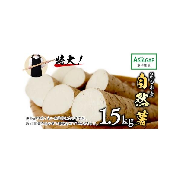 ■ 容量　自然薯1.5kg■ 配送について　入金確認後、1〜2週間程度で発送　タイプ：【冷蔵】