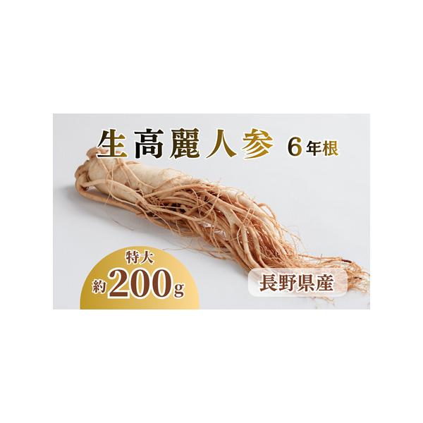 ■ 容量　特大1本　約200g　　タイプ：【冷蔵】