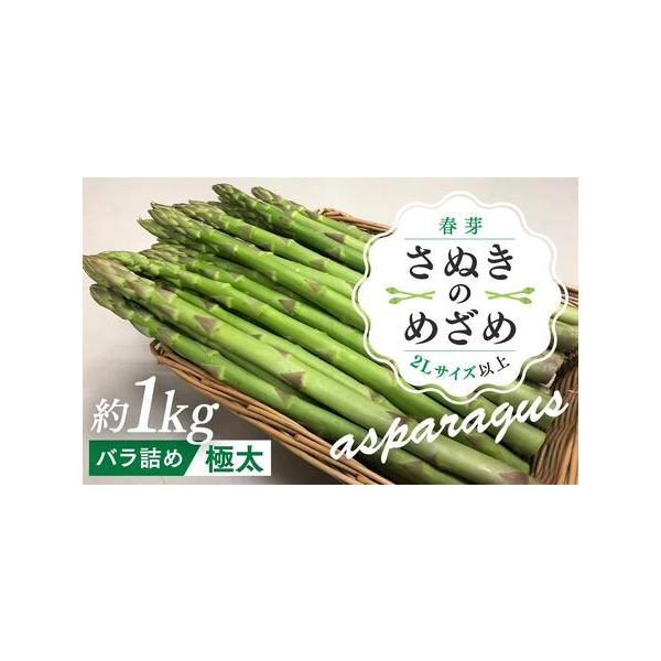 ■ 容量　さぬきのめざめロング 春芽 バラ詰め1kg(2Lサイズ以上)　【賞味期限】　お早めにお召し上がりください。■ 配送について　2026年2月下旬頃〜2026年6月中旬頃の間収穫次第順次発送(※配送日指定不可)　【受付期間】　2025...