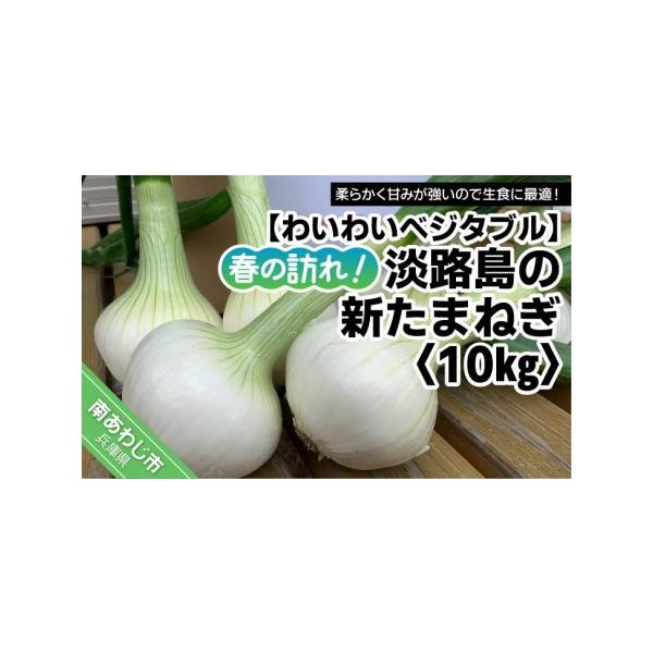 ■ 容量　たまねぎ約10kg　※サイズはM〜2Lの混合です。■ 配送について　準備でき次第、順次発送します。　※長期不在、転居等でお受け取りいただけない場合、再送はいたしかねます。ご了承ください。　タイプ：【常温】