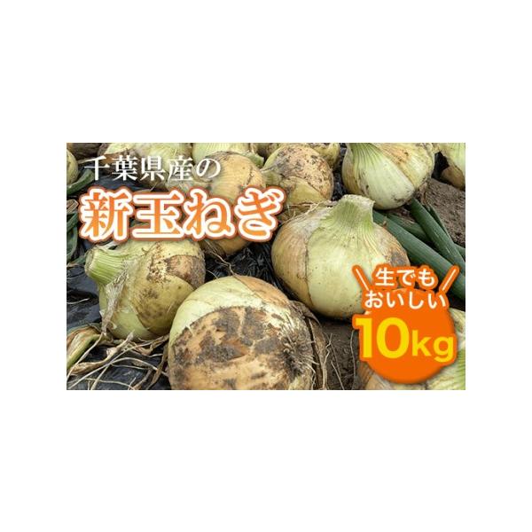 ■ 容量　たまねぎ　10kg■ 配送について　令和8年5月上旬から順次発送予定　※野菜のため収穫状況により前後する可能性あり　・北海道・沖縄・離島への配送は不可です。　タイプ：【常温】