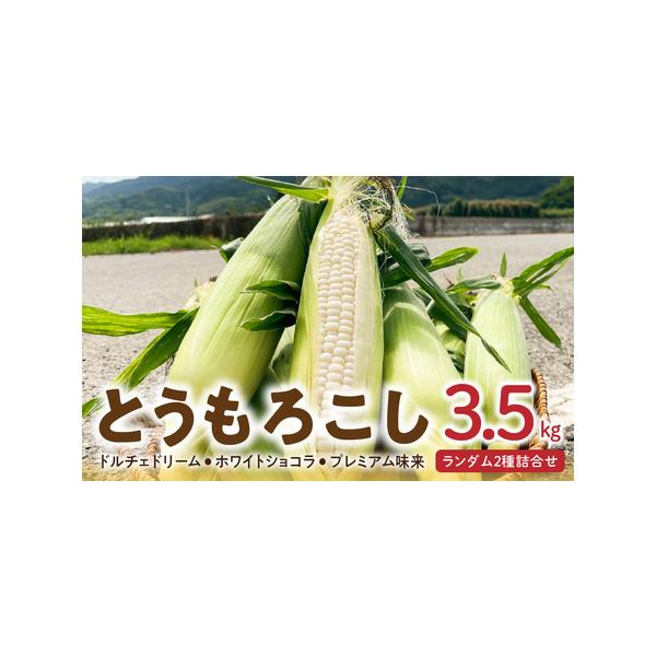 ■ 容量　ドルチェドリーム、ホワイトショコラ、プレミアム味来の3種の中からランダムで2種を3.5kg　　【消費期限】　冷蔵で7日　※商品到着後、冷蔵にて保管をお願い致します。■ 配送について　2026年6月に順次発送いたします。　収穫状況に...