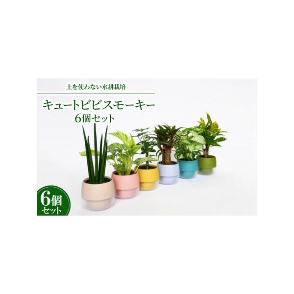 ■ 容量　※上記に記載■ 配送について　2026年1月より順次発送　タイプ：【常温】