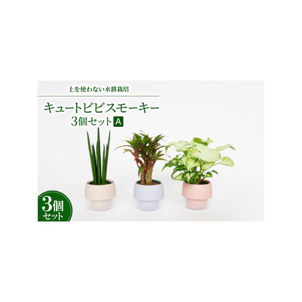 ■ 容量　※上記に記載■ 配送について　2026年1月より順次発送　タイプ：【常温】