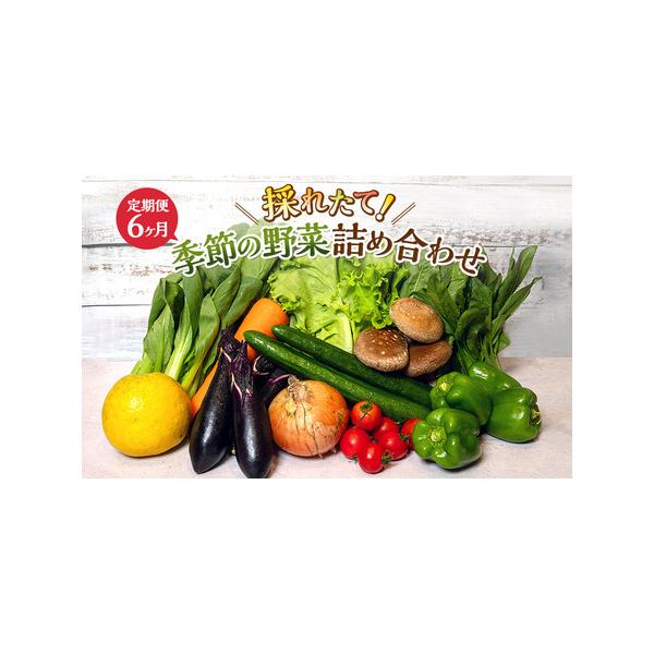 ■ 容量　ジャガイモ、人参、大根、小松菜、白ネギ、グリーンリーフ、チンゲン菜、菌床椎茸、トマト、水菜、葉ネギ　等 季節の野菜8品前後　【6ヶ月連続お届け】　　タイプ：【冷蔵】【定期】