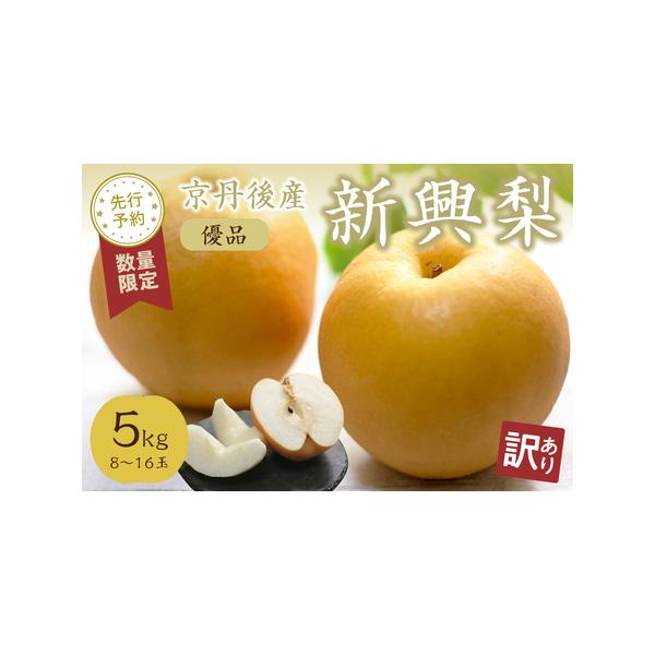 ■ 容量　5kg（8〜16玉）　　【原材料】　新興梨：新興梨(京丹後産)　　【賞味期限】　出荷日から20日間　　【保存方法】　冷暗所にて常温保存■ 配送について　【配送可能期間】　2026年10月上旬〜11月下旬　配送可能時期より1ヶ月以内...